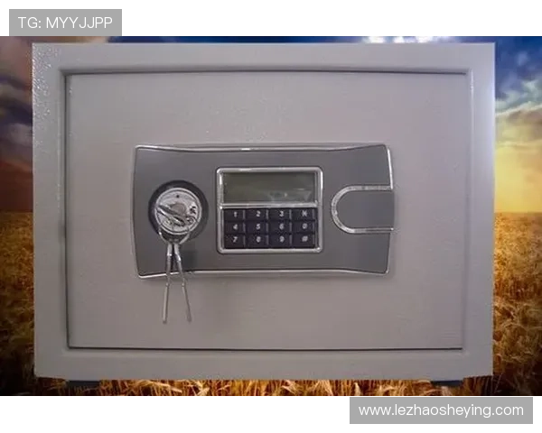 全面介绍K8凯发手机版下载的最新功能与使用指南